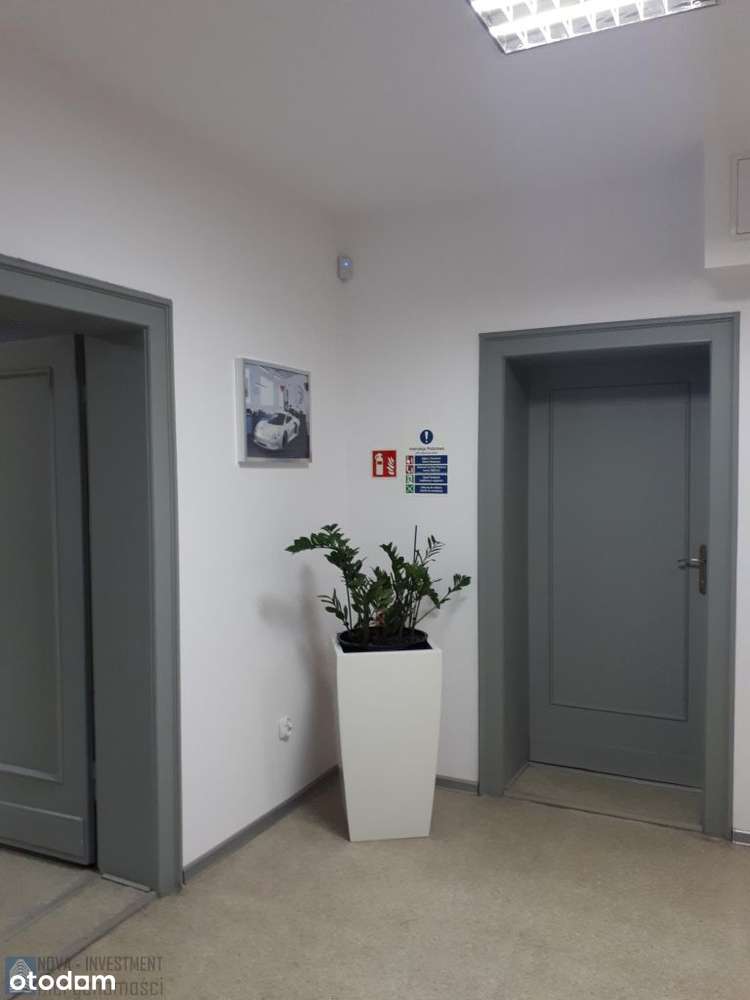 Funkcjonalny pod firmę lub usługi/Łabędy-7