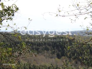Terreno com 2703m2 em Santos Evos - Grande imagem: 4/6
