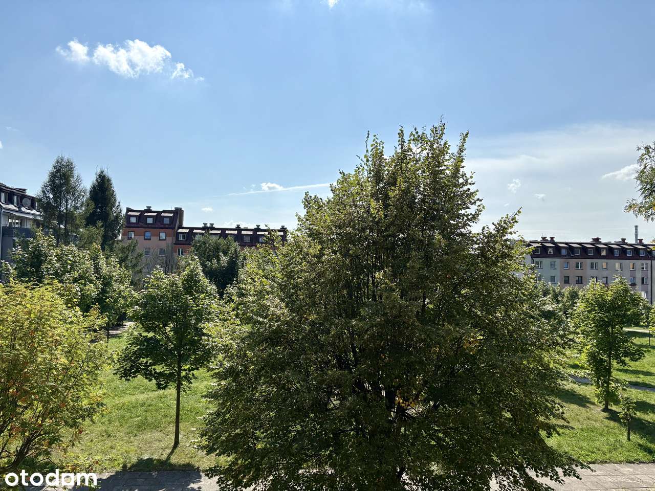 Komfortowe mieszkanie z loggią | Osiedle Binków, Bełchatów-3