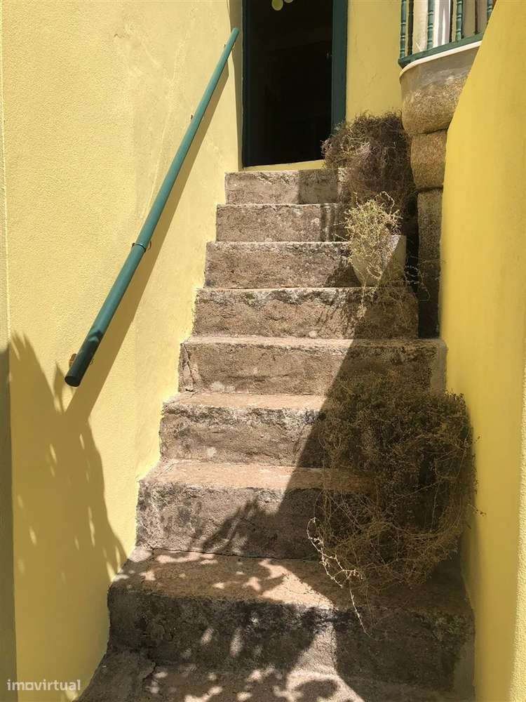 Moradia T3 com quintal em Castelo Branco, Mogadouro-8