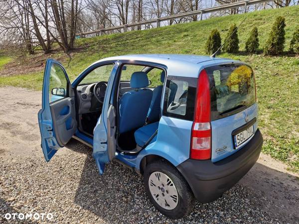 Fiat Panda 1.2 Dynamic Plus - 12