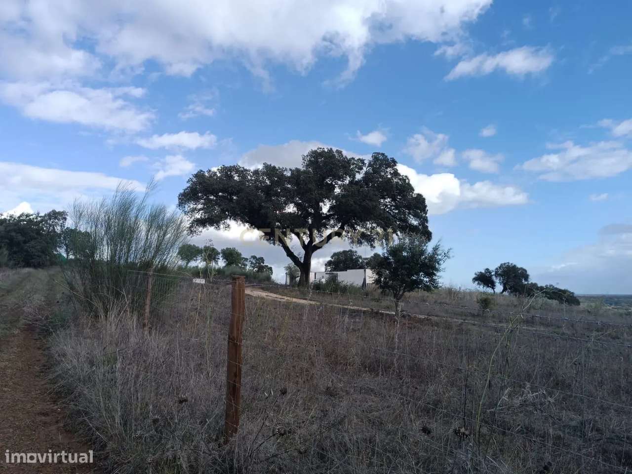Terreno perto da Barragem de Montargil - Grande imagem: 5/14