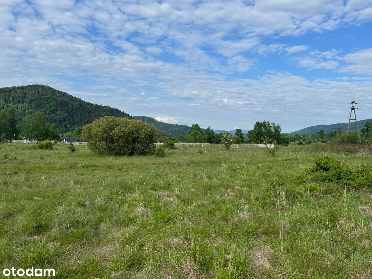 Mała i tania działka z dobrym dojazdem, widoki, zieleń, rekreacja - Pełny obrazek: 4/6