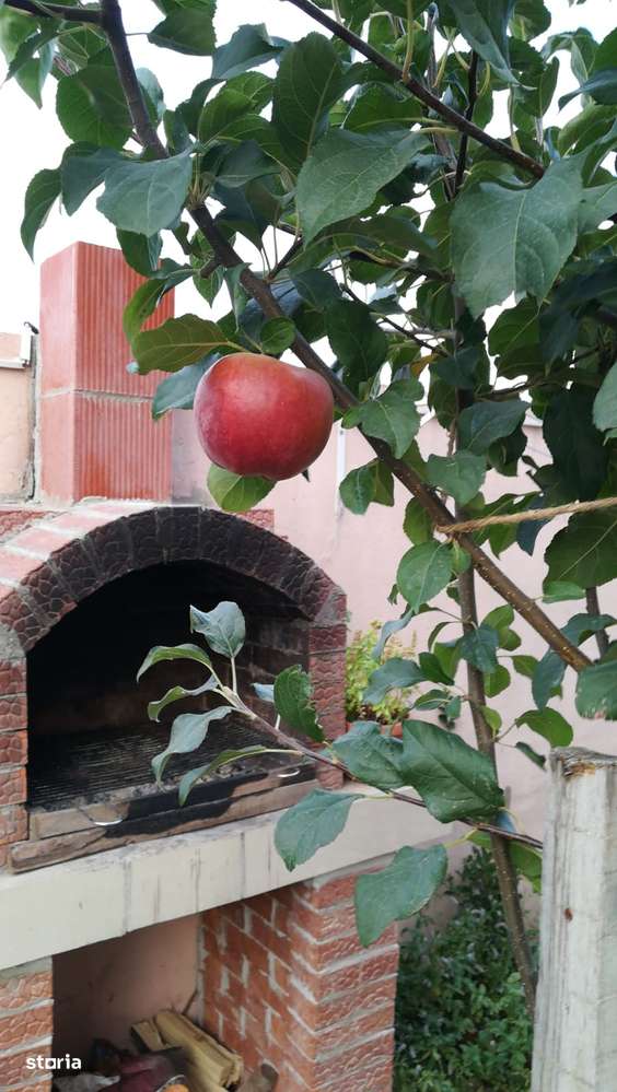 Bragadiru Vila Individuala P+1+Pod An 2015-10
