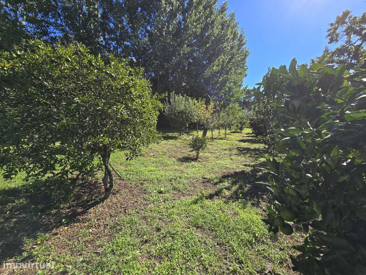 Moradia T5+1 em Ruilhe - 2680m2 de Terreno Privado-28