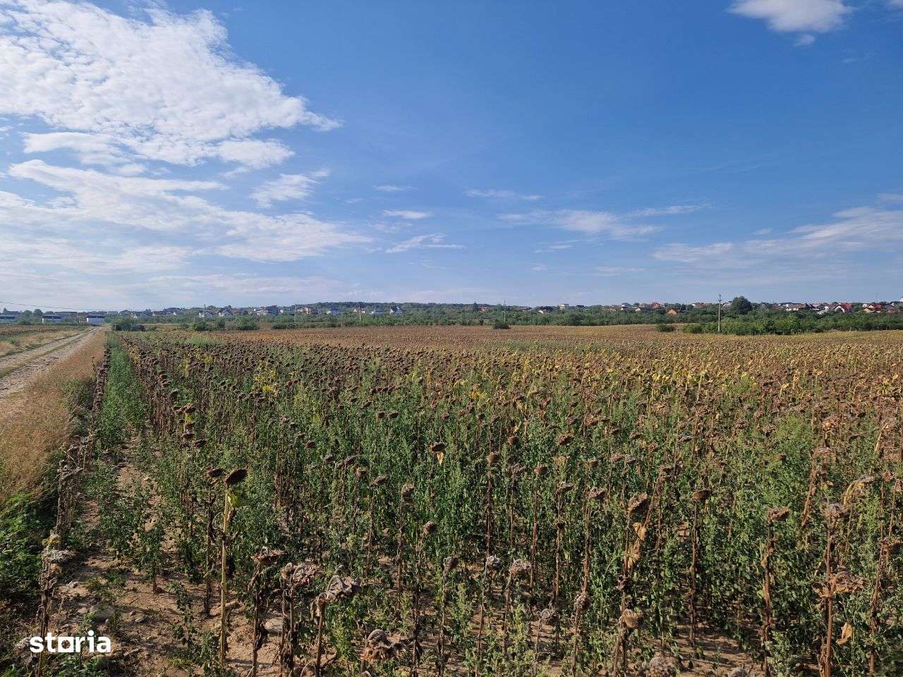 Cafrom Imobiliare - EXCLUSIV- Teren de Vanzare- Paulesti/Cocosesti-2