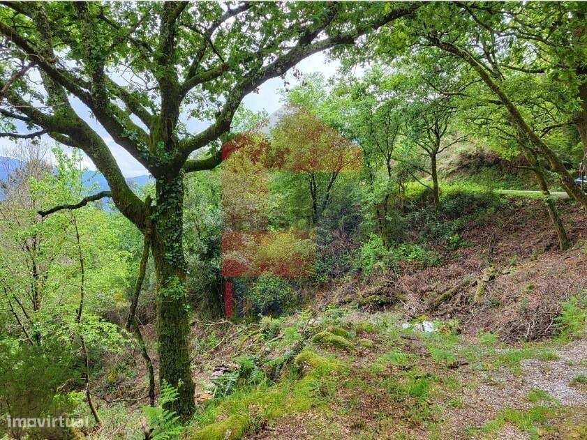 Terreno agrícola, Valdreu - Grande imagem: 5/12