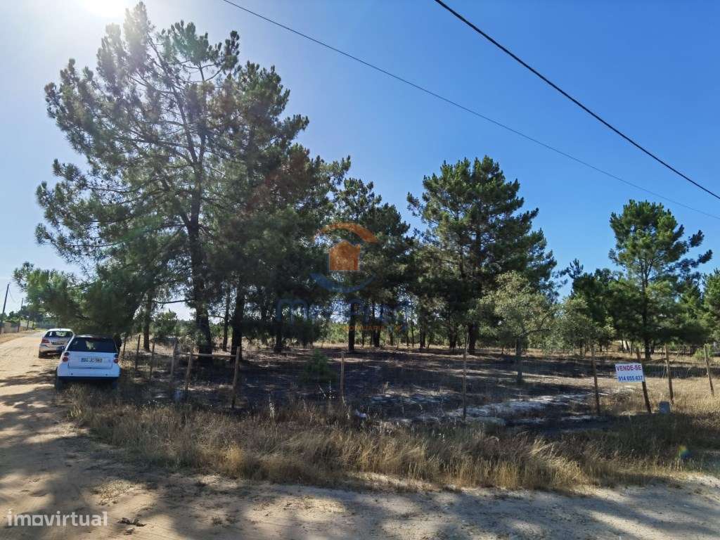 Terreno Rústico de 5.000m2 - Pinhal Novo - Grande imagem: 3/4