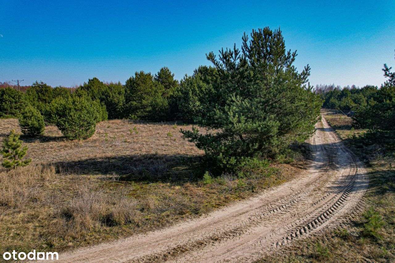 Działka 100 m od Jeziora Branickiego - Krupocin-7