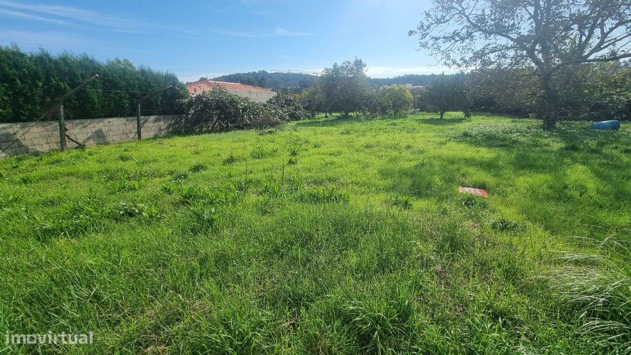 Terreno plano Nogueira da Regedoura - Grande imagem: 4/6