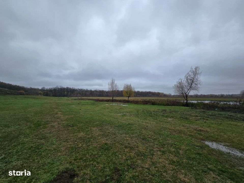 Teren  100.000 mp, Recea-Albota-3