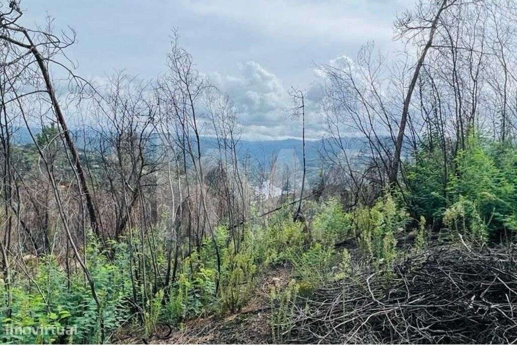Terreno 510 em Santa Leocádia e Mesquinhata 13.900m2, localizado em Ba - Grande imagem: 4/18