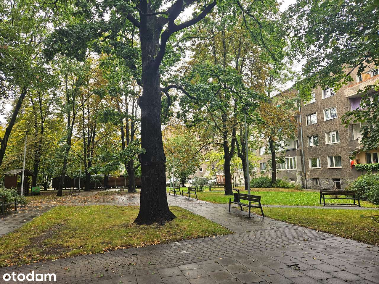 Wrocław, ul. Krzywoustego | 3 pokoje | do własnej aranżacji-8