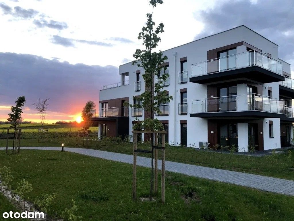 Apartament nr 6