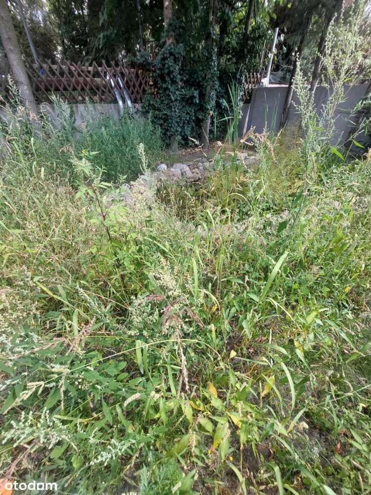 Wolnostojący dom w centrum miasta!-19