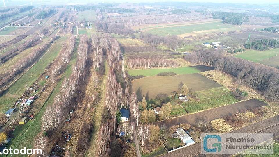 Działka rolna 12 700 m2, Pasieka Wałowska - Pełny obrazek: 4/11