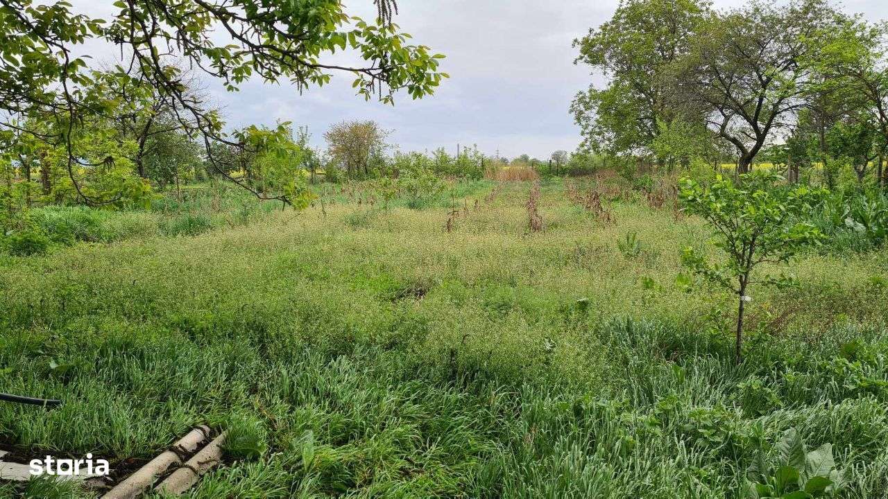 Casa in Adjud - cartier Adjudu Vechi-7