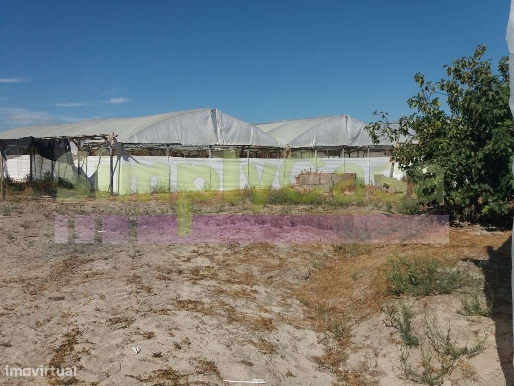 Moradia Ruina junto BA6 Montijo inserida em terreno c/ 3 ha-15