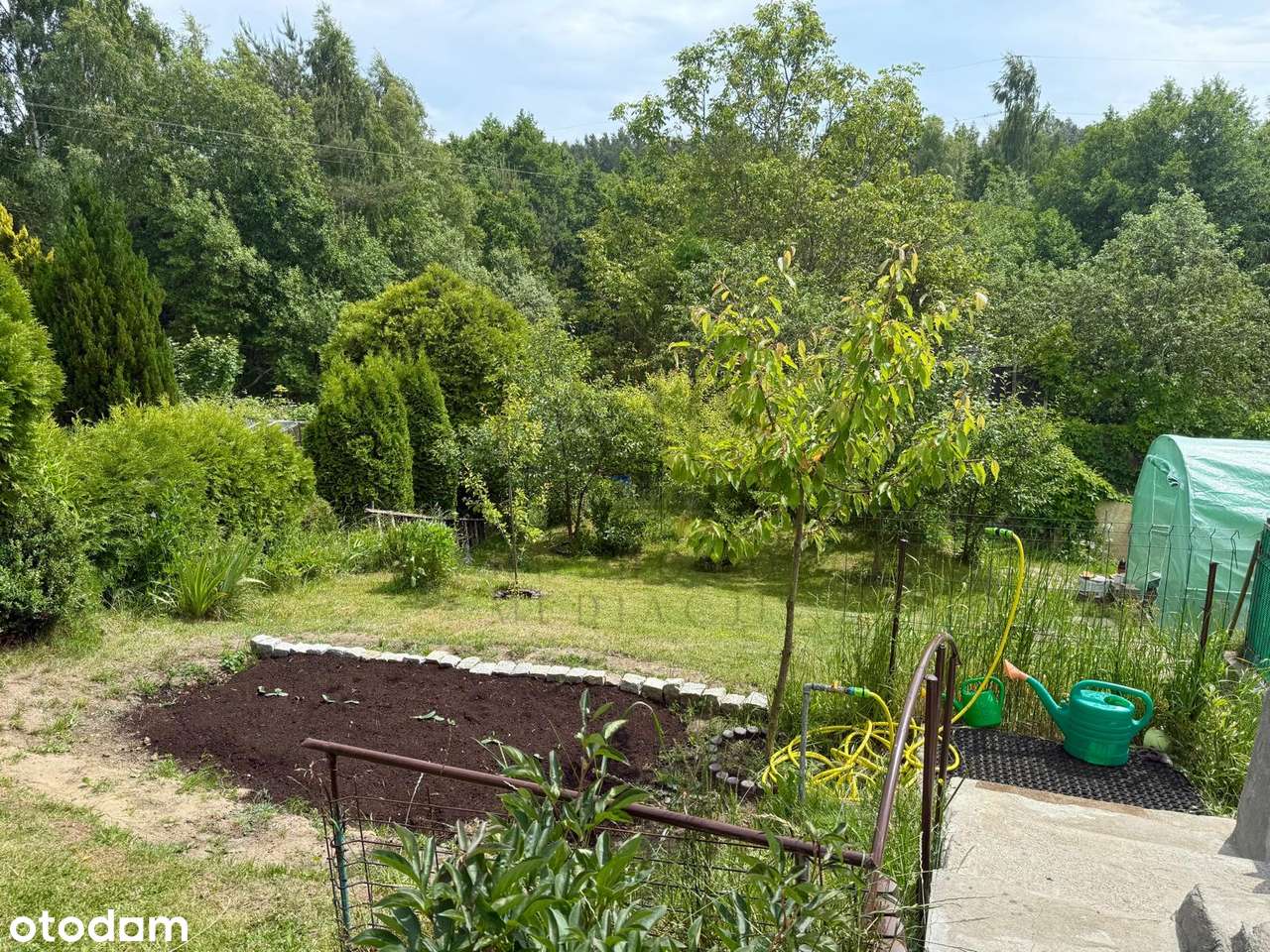 Działka ROD Zielony z domkiem, zadbana-18