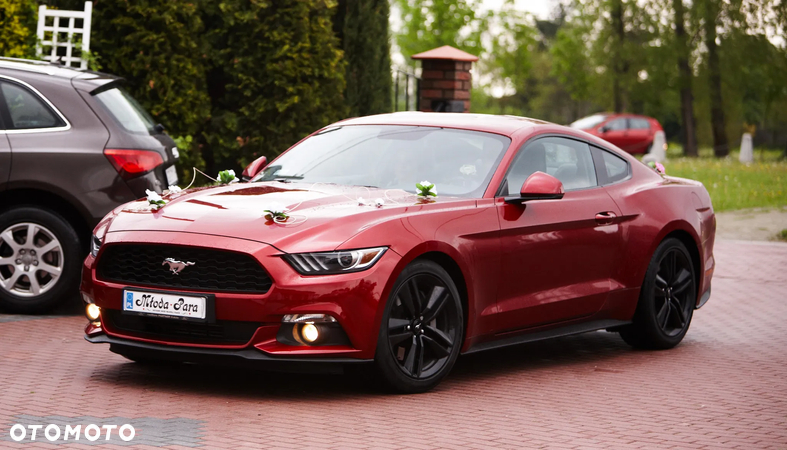 Ford Mustang 2.3 EcoBoost - 23