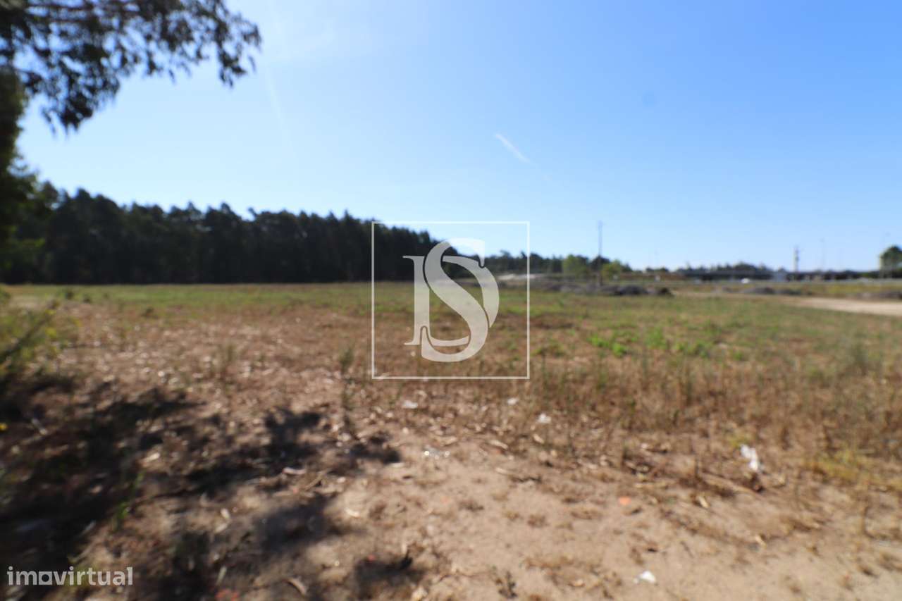 Terreno  Venda em Palmeira de Faro e Curvos,Esposende - Grande imagem: 2/4