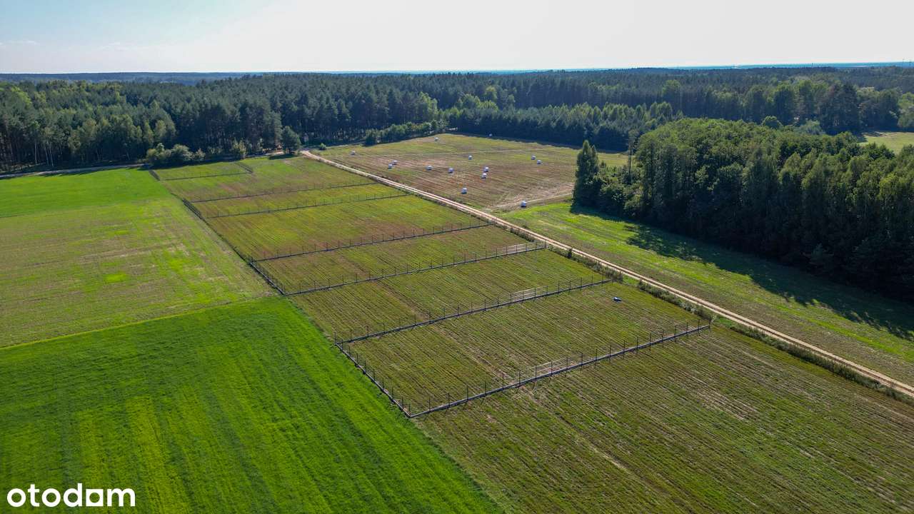 Działki budowlane w otoczeniu natury. Pod dom lub inwestycje. Raty-8