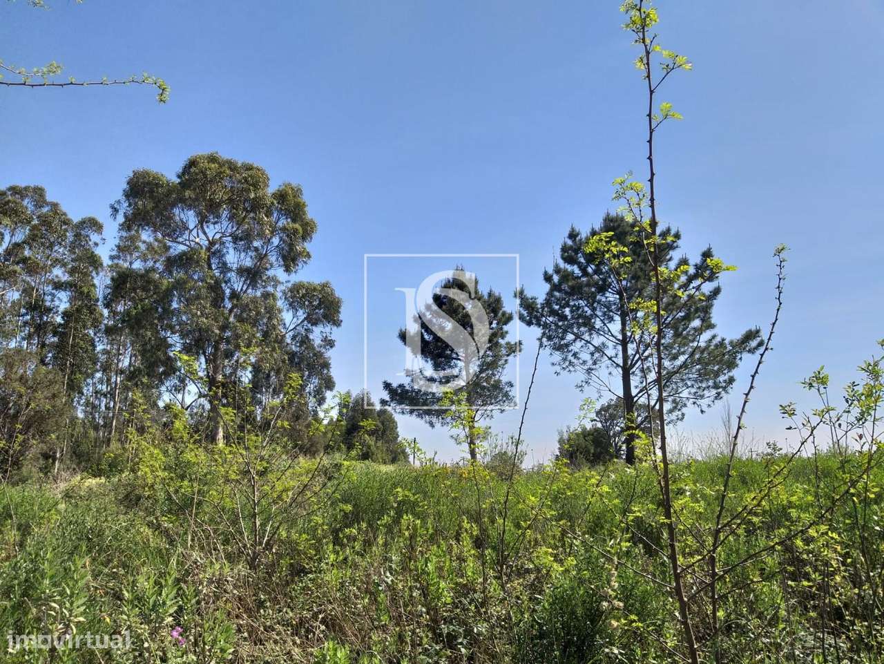 Terreno  Venda em Aveleda,Vila do Conde-6