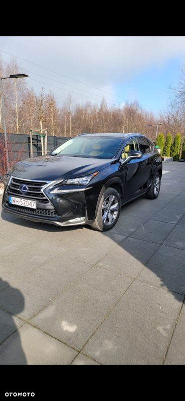 Lexus NX 300h - 13