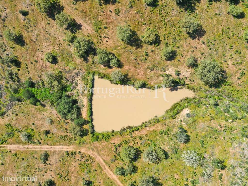 Herdades de Caça com 1300 Hectares, junto do rio Guadiana-8