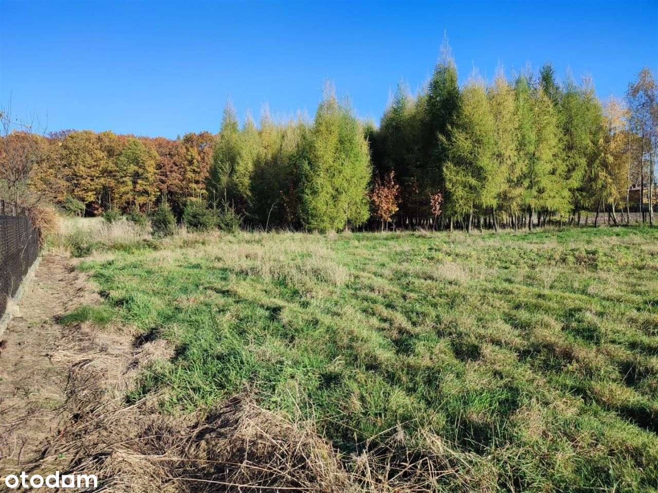 Działka budowlana pod lasem, Jawiszowice-2