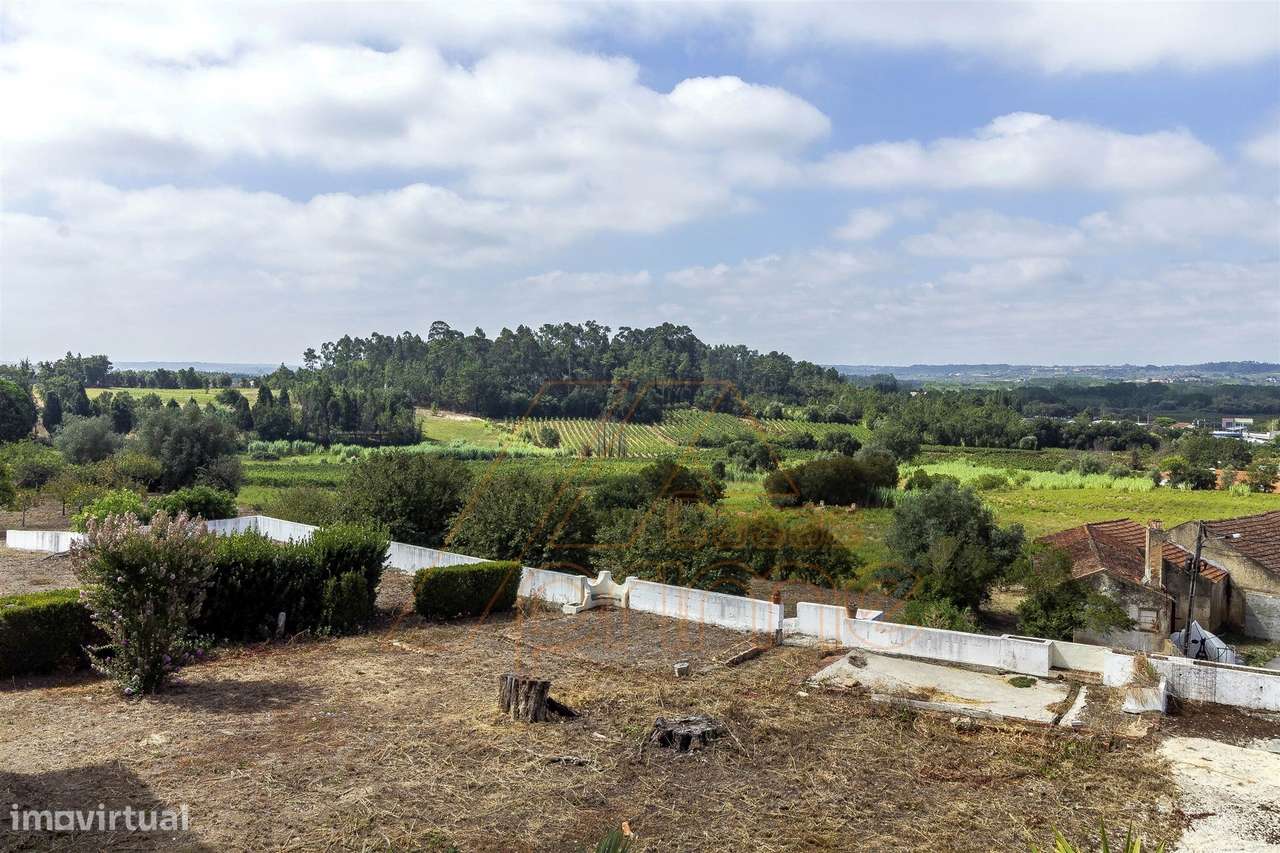 Herdade T8 - Anadia - Aveiro/ Venda-54