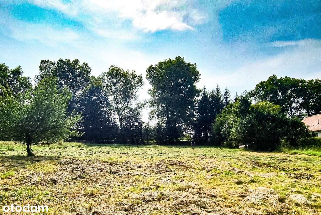 Działka w super lokalizacji - Stary Wielisław-10