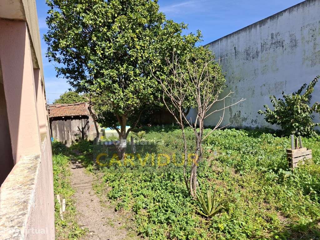 Lote 295m2 para construir moradia perto de Lisboa | Moita-7