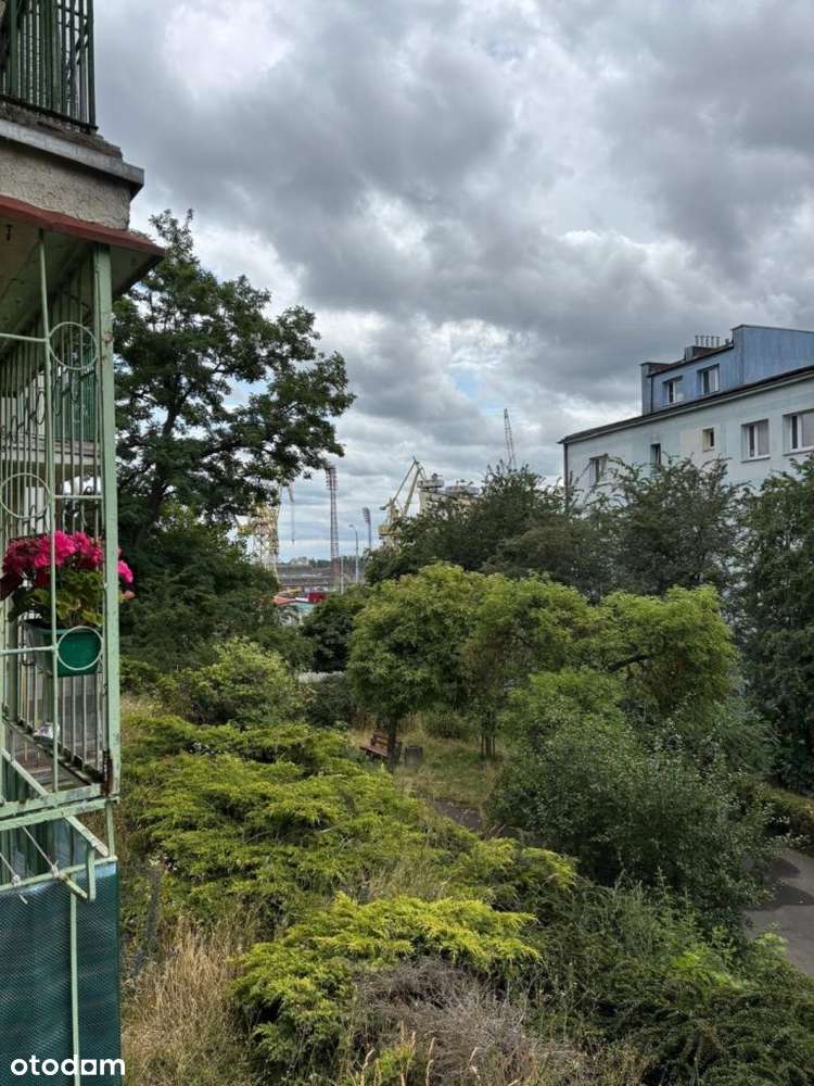 3-pokojowe mieszkanie z balkonem 50,5 m² parter - Pełny obrazek: 4/7