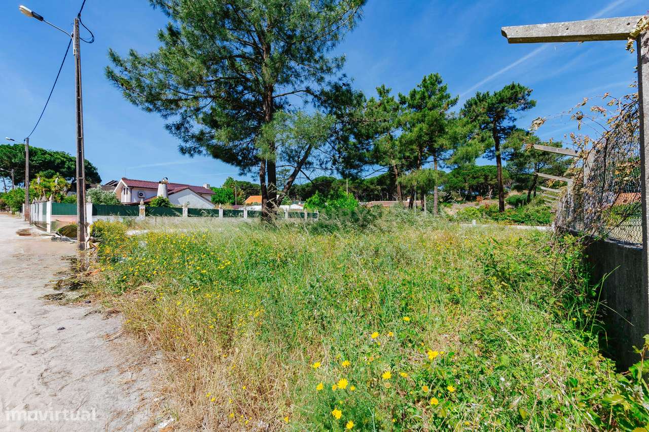 Terreno Urbano na Charneca de Caparica | Pinhal da Aroeira-11