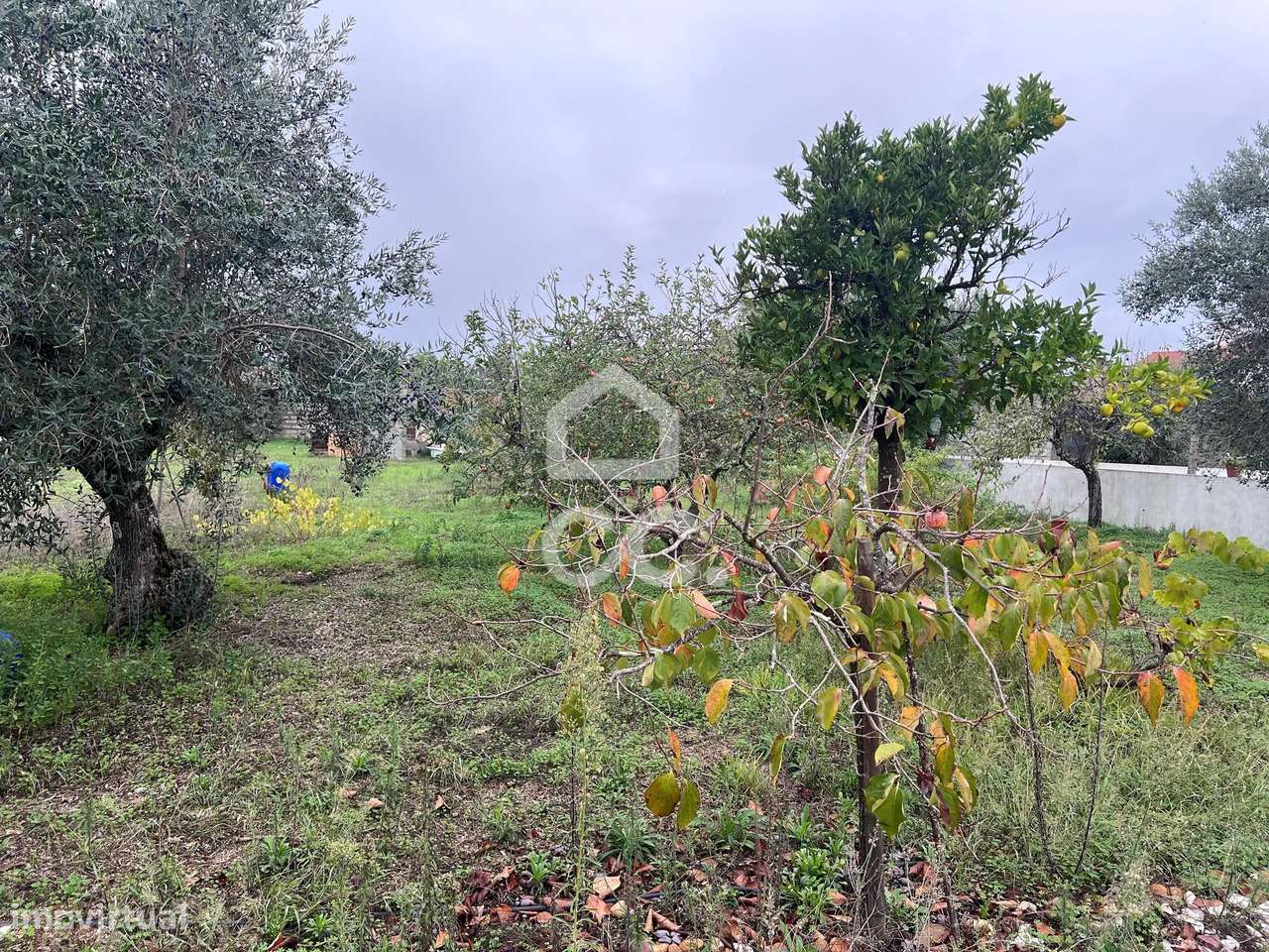 Quintinha no Pego - Grande imagem: 4/10