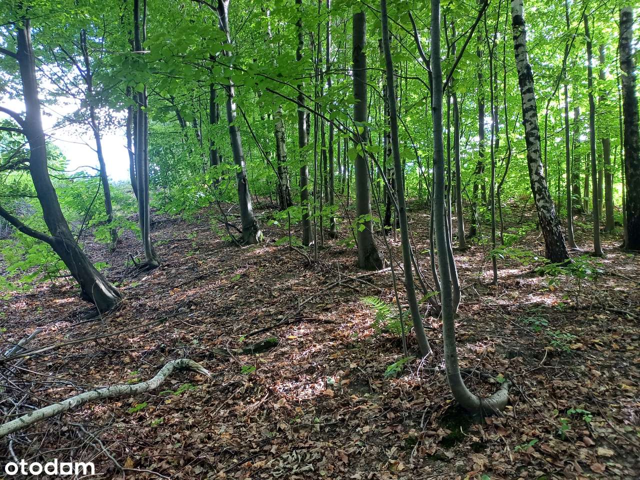 Działki na sprzedaż - Lanckorona ul. Krakowska-8