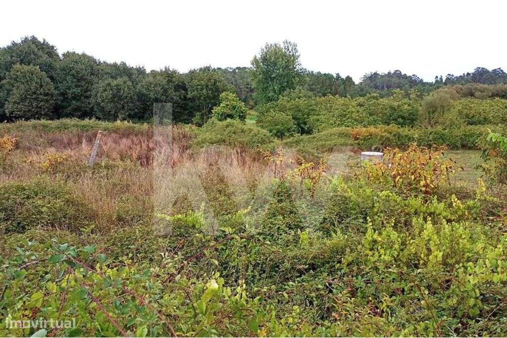 Terreno agrícola em Carvalhais, São Pedro do Sul - Grande imagem: 4/9