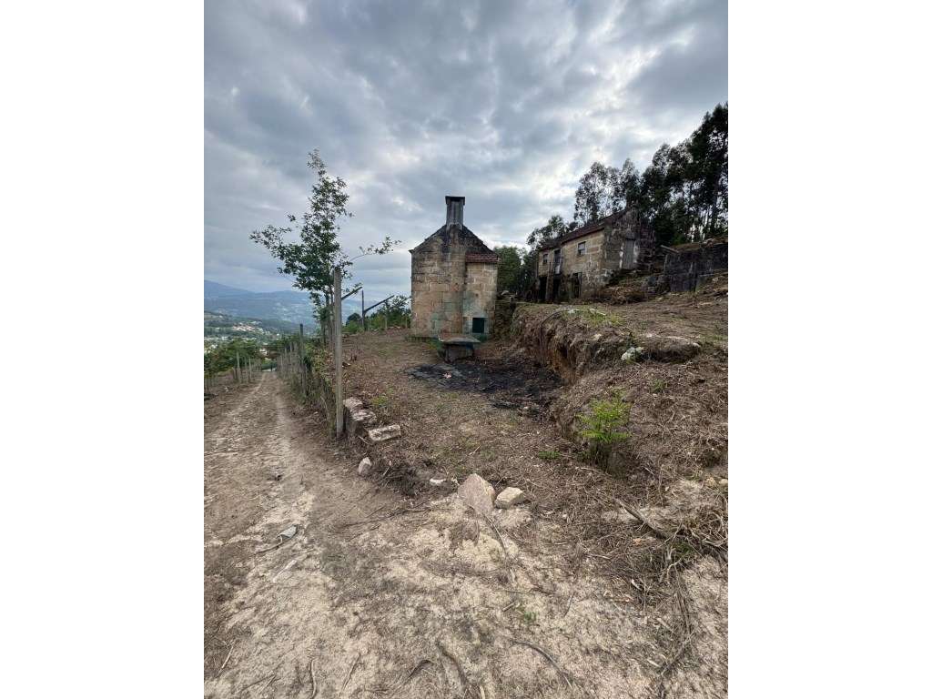 Quinta com Potencial em Marco de Canaveses-26