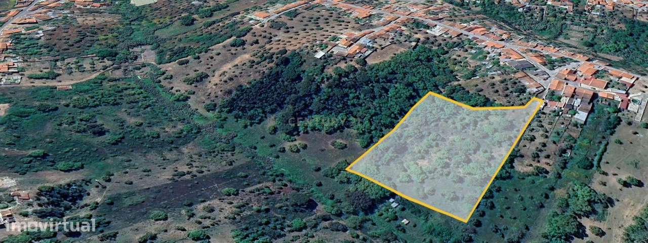 Terreno de 8280m² com cultura Arvense variada em Abrantes - Grande imagem: 5/11