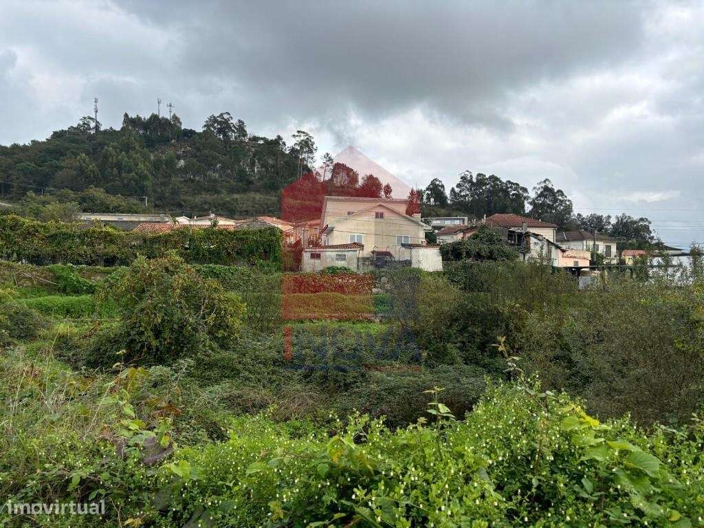 Lote Gaveto, Ferreiros - Grande imagem: 4/17