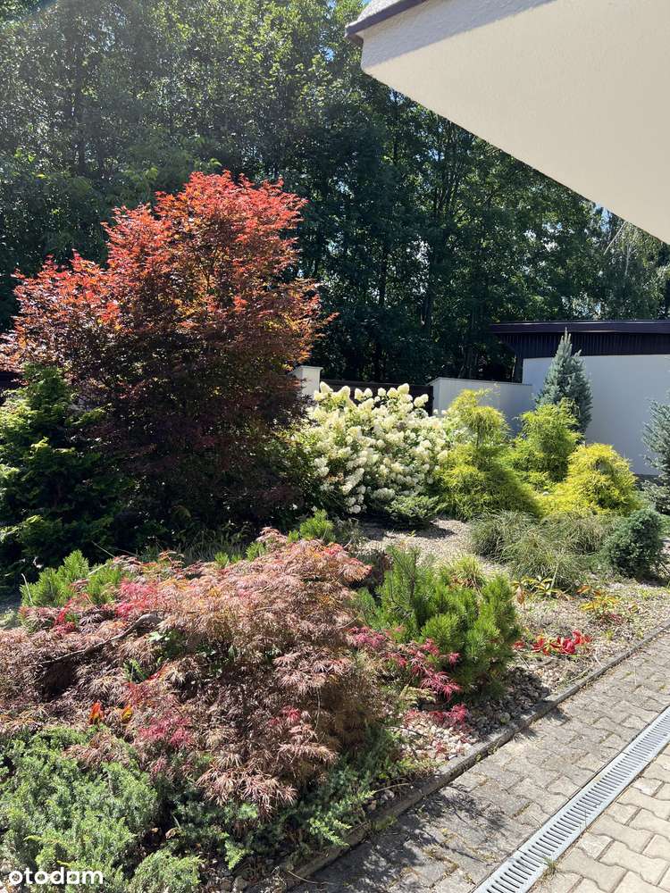 Klimatyczny dom z ogrodem Bielsko-Biała - Pełny obrazek: 4/20