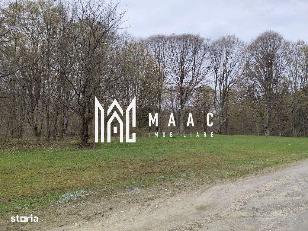 Teren Intravilan |2000Mp| Valea Avrigului - Imagine principală: 5/8