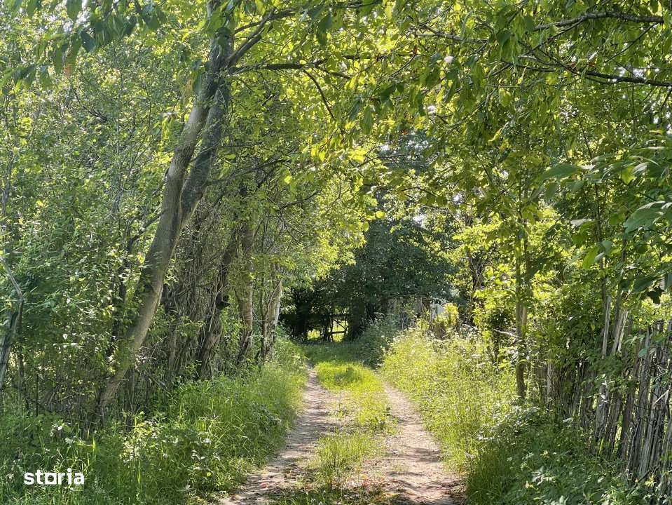 Teren Premium 1559 mp, Brebu Manastirei – Refugiu Montan la 120 km d - Imagine principală: 4/10