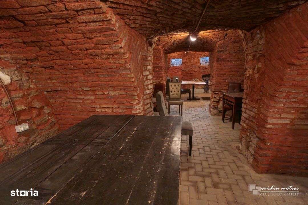 Spatiu comercial ultracentral-9