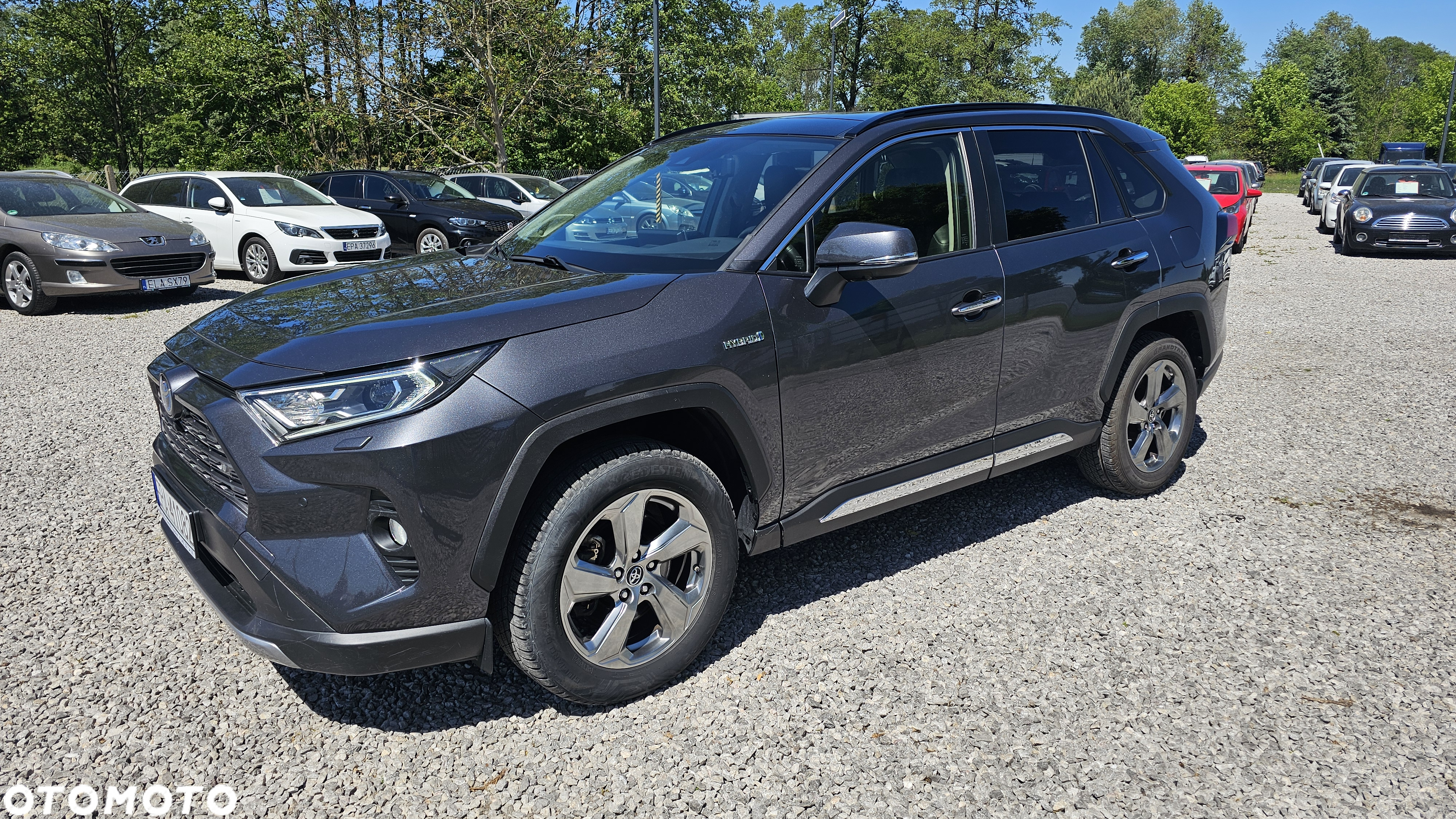 Toyota RAV4 2.5 4x2 Hybrid Club - 2