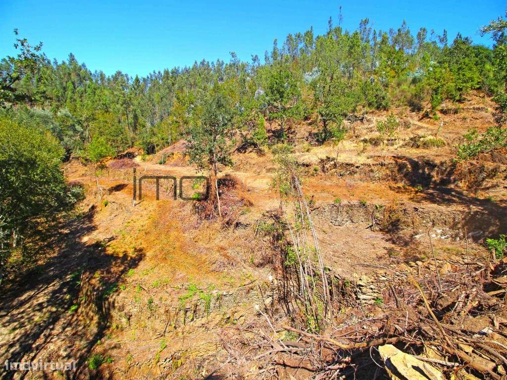 Quinta Isolada com Margem de Rio e Potencial de Eco-Retiro - Arouca-43