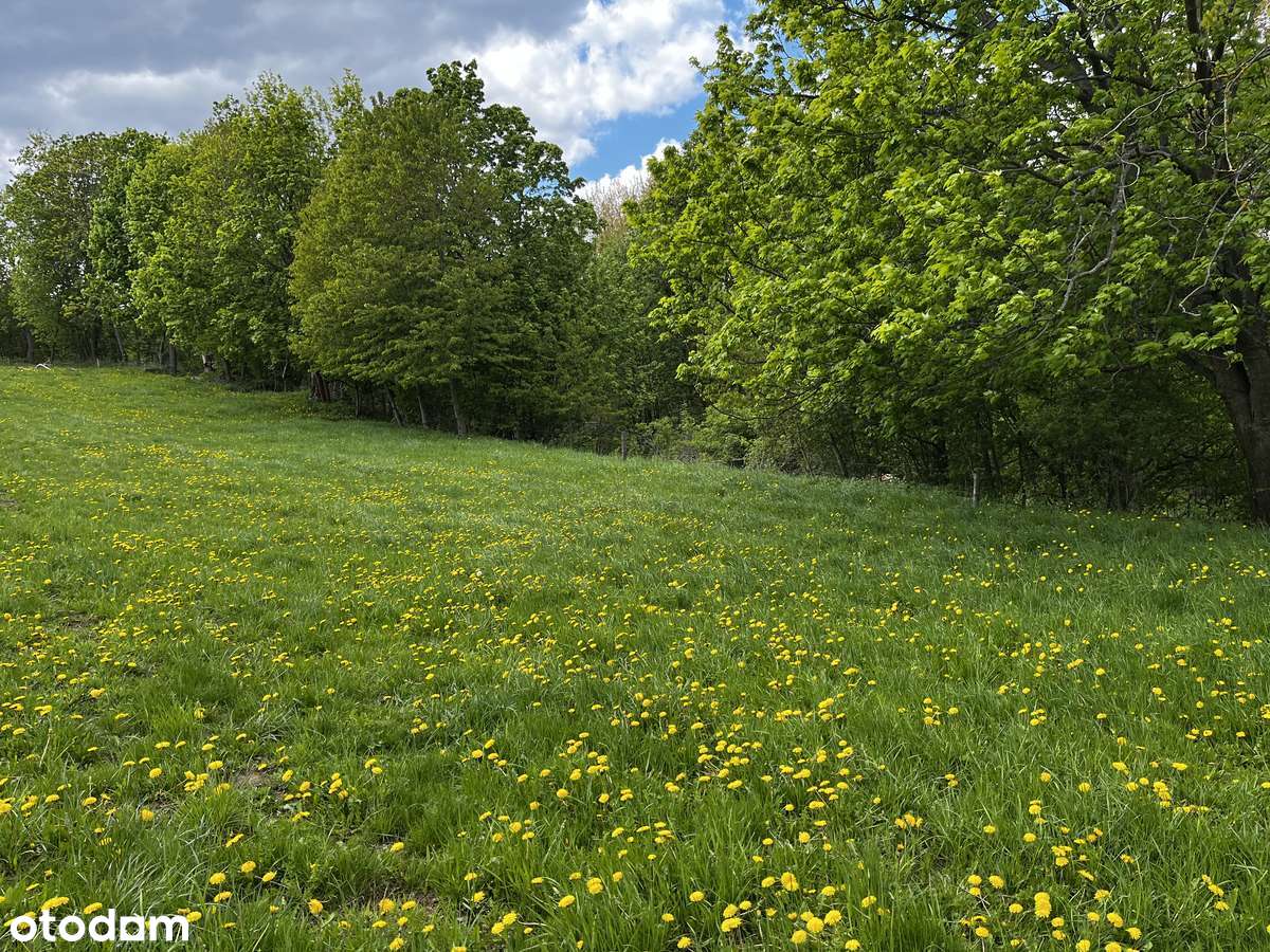 Widok jak z pocztówki – działka budowlana w sercu Gór Sowich - Pełny obrazek: 4/6