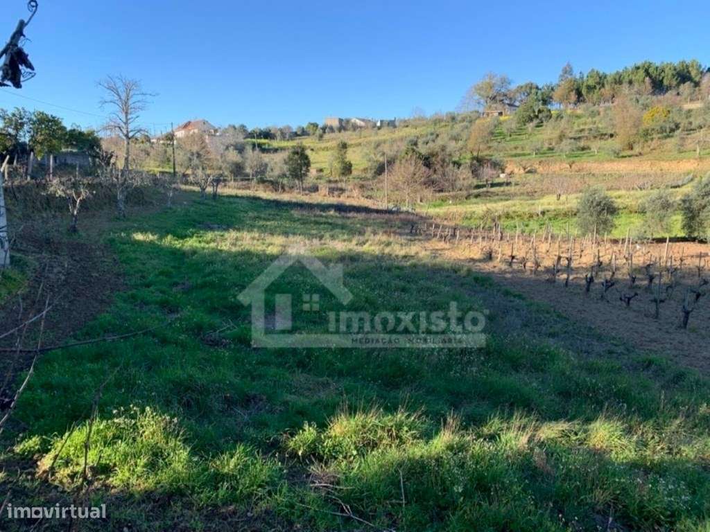 Moradia T4 pronta a habitar em Figueiró dos Vinhos-24