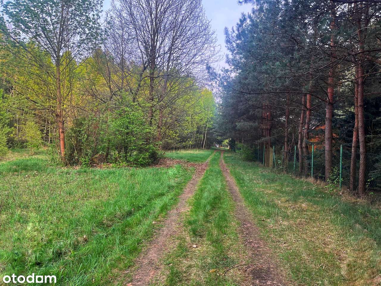 Działki rekreacyjne nad rzeką Wartą-możliwe raty!-8